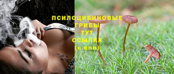 a pvp Вяземский